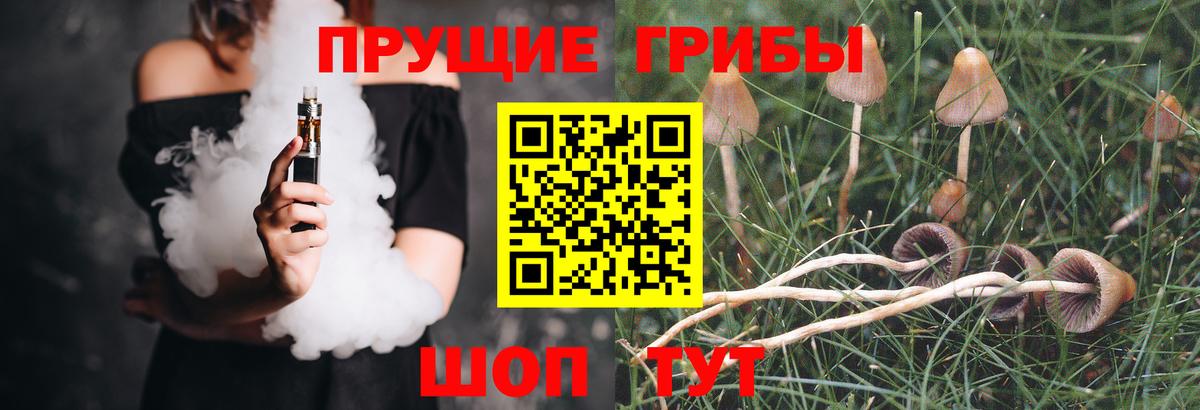 Галлюциногенные грибы MAGIC MUSHROOMS Волжск