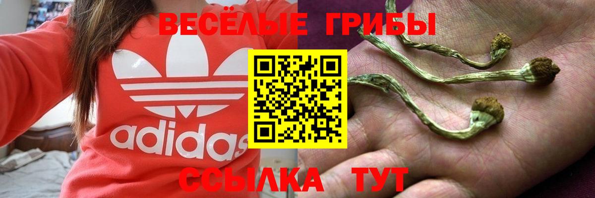 Псилоцибиновые грибы Psilocybine cubensis  купить наркотик  Волжск  Вход с VPN 
